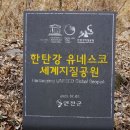동막골 - 교동 | 동막골
