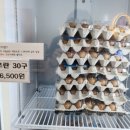 좋은계란할인점창원 이미지