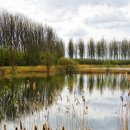 알라딘한의원 이미지