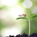 역삼주간보호센터 이미지