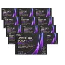 에버그린 이미지