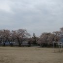 아산초등학교 이미지