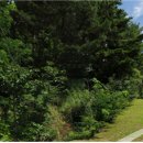 하남-신장-신장9호 이미지