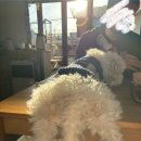 멈무는하루 이미지