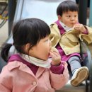 나말어린이공원 네이버블로그