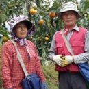 금진농장 이미지