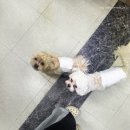 다잡아낚시슈퍼