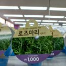 투썸플레이스 파주운정점 이미지