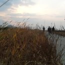 강화배꽃집 이미지