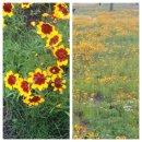 합강농장 이미지