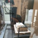 포포즈 반려동물장례식장 양주점 이미지