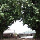 행림서원 이미지