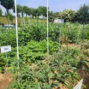 준경농장 이미지