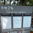 대청공원 놀이터 이미지