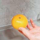 두식농원 이미지