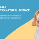 도기슈퍼 이미지