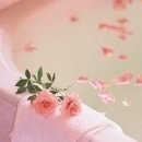 핑크(pink) 이미지
