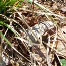 팔공산금화자연휴양림 이미지