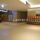 커피놀다 | 전남 신안 자은도 씨원리조트 ‘라풀 어드벤처 워터파크’ 4살 아이랑 재밌기 놀다왔어요 내돈내산 후기