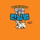 새별문화