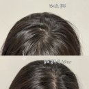 헤어살롱미올 | 두피 건조 각질 샴푸 향 좋은 바디브 미오 샴푸