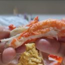 말랑단단 이미지