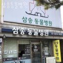 삼송동물병원 | 고양 삼송동 동물병원 삼송동물병원 위치 오는길 후기