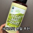 보리식품 | 새싹보리 분말] 매일 실천하는 데일리 그린 루틴! 멜로우네이쳐 새싹보리 가루 솔직후기 (우유 조합 추천)
