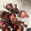 강남호랑이마취통증의학과의원 이미지