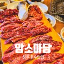 암소마당 | 경주 산내면 한우 맛집 암소 마당 풍미가 좋은 최상급 한우 암소 후기