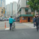 벼룩이구제 - 청송군 진보로 148-1 | 벼룩이구제