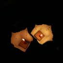 소원 Market 이미지