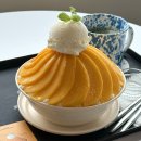 경기도 수원시 팔달구 정조로 | 수원 화성 행궁동 헤올커피로스터즈ㅣ행리단길 장안문 뷰 애플망고 빙수 맛집 내돈내산 후기