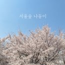 성수보건지소 | #서울숲 벚꽃 구경_ 서울에서 즐기는 봄나들이