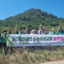 신안새마을경로당 이미지