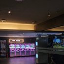 Oh!ROCK | 제천리솜포레스트 오락실 위치 밥에 돈아끼고 오락에 돈쓴 내돈내산 후기