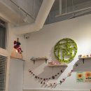 반석마을(아)2단지경로당 | 대전 반석동 돈까스 추천 정카츠 먹거리 가볼만한곳