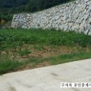 구자옥공인중개사사무소 이미지