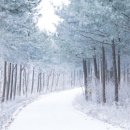 보현산 등산로 | 일출 숨은명소,영천 보현산 천문대 일출, 차로 가면 낙원! 걸어가면... (현실판 등산 후기) 🌅❄️