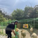 가평 모이스 독채 풀빌라 펜션 이미지