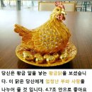 황금알 이미지