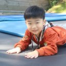 숲속하늘 유치원 이미지