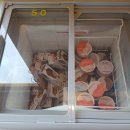 고트 | 청도 아이와 가볼만한 곳 아기염소 체험농장 고트힐 내돈내산 후기
