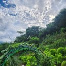 온더힐하우스 이미지