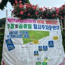 씨유부천도당중앙점 | 부천 백만송이 장미축제(5.24~6.8) 다녀온 후기 현재개화상태 주차정보