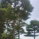 6.2 화성상록GC 교우골프회 참석 이미지