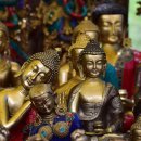 하은농장2 이미지