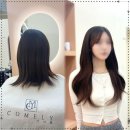 어여쁨 | 대구붙임머리, 프라이빗한 1:1 공간! 대구붙임머리 어여쁨 내돈내산 편안한 관리 후기