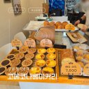 강릉 소금빵 강릉 베이커리 고메코나베이커리 후기