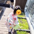 즐거운유치원 이미지